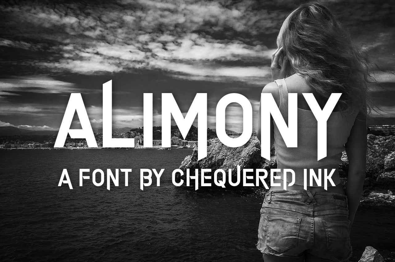 alimony-makerstype